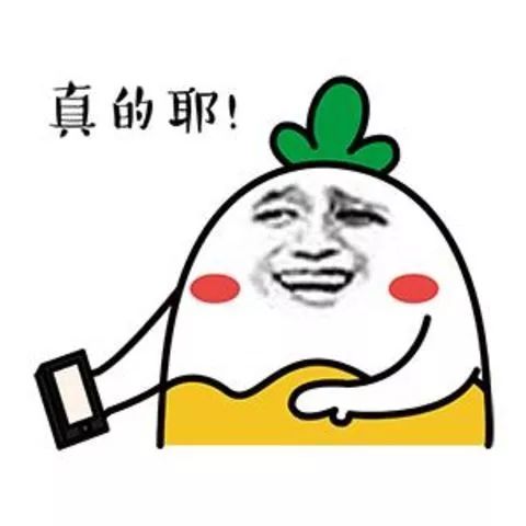 kaiyun体育 健身房小白看过来，健身器材使用大盘点