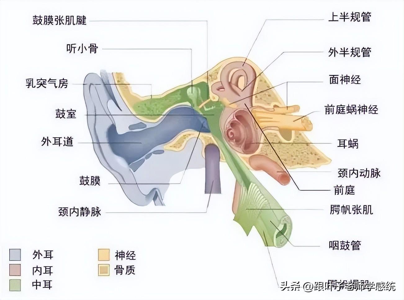感统课独脚凳的目的_感统训练单脚站立_感统训练单腿椅
