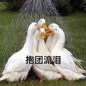 手套健身品牌有哪些_手套健身品牌排行_品牌健身手套