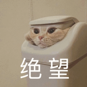 健身防滑手套_手套健身防滑效果好吗_手套健身防滑吗