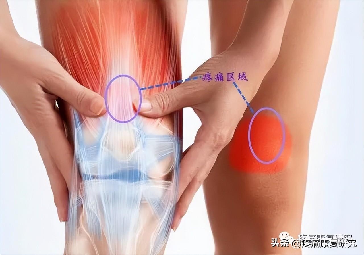 股四头肌训练椅安装步骤_股四头肌训练椅_股四头肌训练椅安装视频