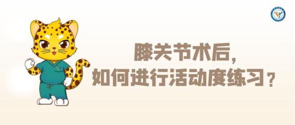 髋关节训练椅_髋关节训练椅说明书_髋关节训练椅的用途