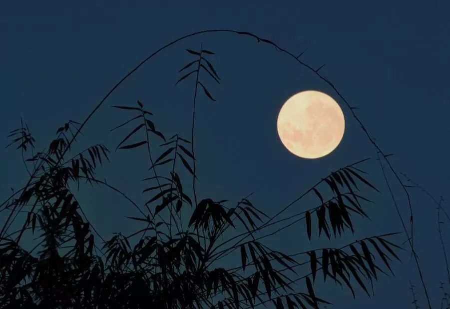 风誓葫芦丝演奏_誓葫芦丝教学视频_分誓葫芦丝