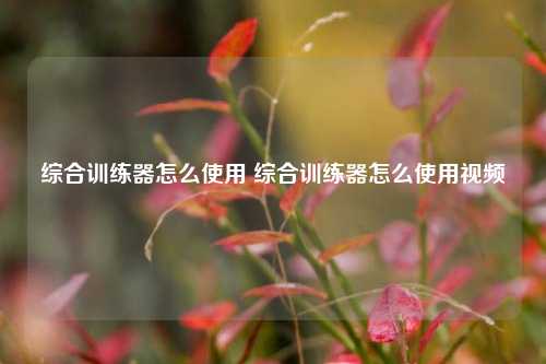 开yunapp体育官网入口下载手机版 综合训练器怎么使用 综合训练器怎么使用视频