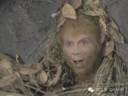 健身手套小还是大点好_健身手套选择大一点还是小一点_健身手套大小怎么选