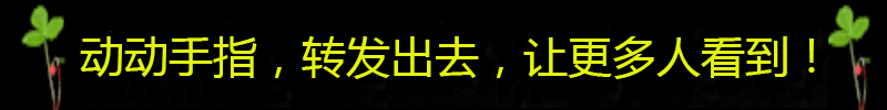 舞动晨韵健身操_晨韵广场舞_广场舞视频舞动晨韵