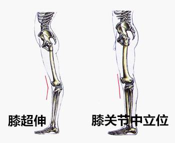 股四头肌训练椅_股四头肌训练椅注意事项_股四头肌训练椅子