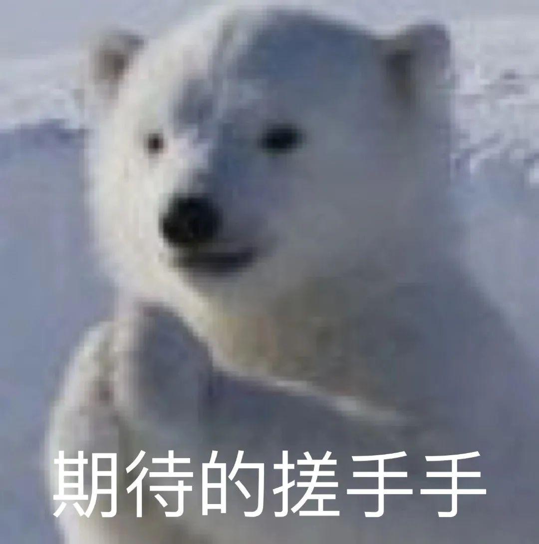 进口跑步机品牌_进口跑步机什么牌子好_牌子进口跑步机好吗