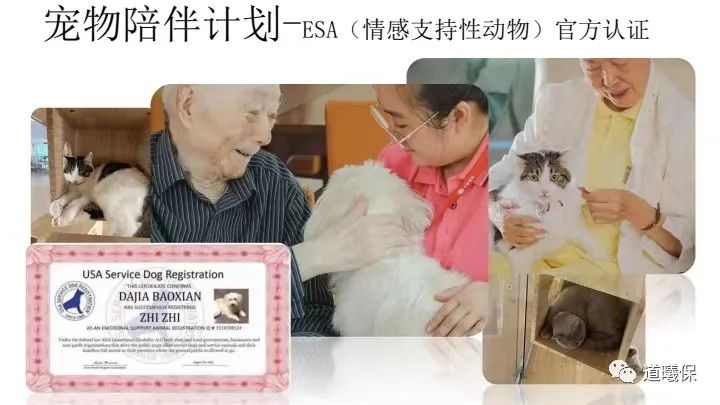反重力跑步机 中国_反重力跑步鞋_国产反重力跑步机