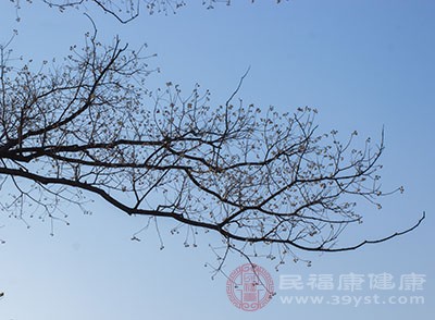 健身手套紧点好还是松点好_健身手套紧的好处_手套紧点好还是松点好