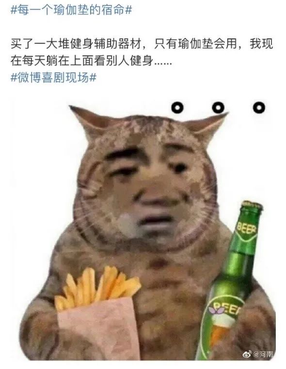 十大家用跑步机排名_知名家用跑步机品牌_家用跑步机质量排名