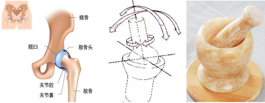 开yun体育app入口登录 如何提高髋关节灵活性？了解髋关节的作用与功能，做针对性的改善