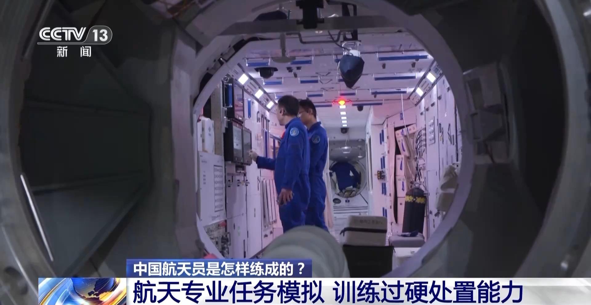 360度综合训练器_训练器有用吗_训练器是什么