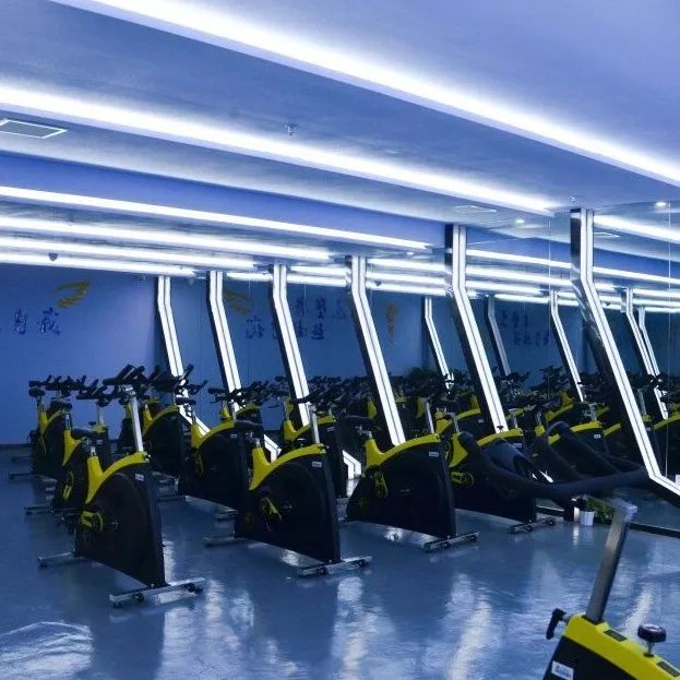 综合训练器 史密斯机_史密斯综合训练器使用方法_史密斯机综合训练器哪个牌子好