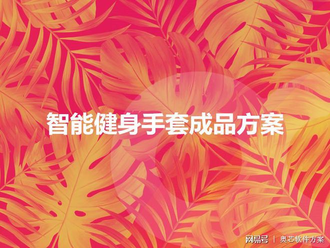 健身套路_健身手套用法_健身动作一套
