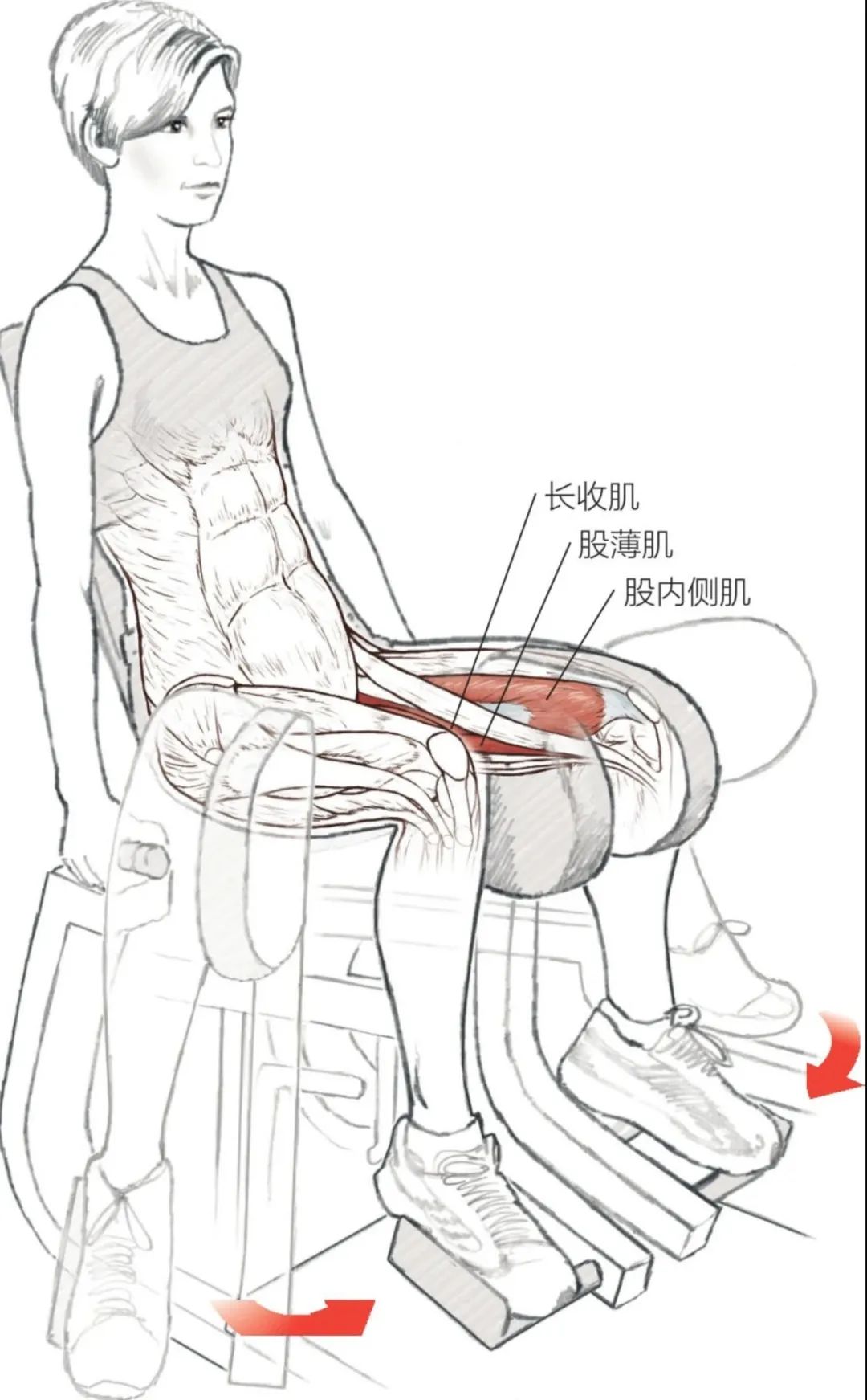开yun体育官网入口登录体育 【跑步训练】髋部内收肌和股四头肌训练