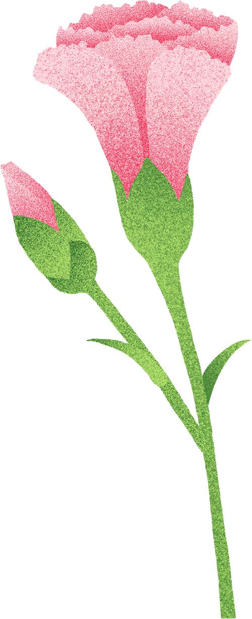 2025年全国妇女广场舞大赛山西站_健身操下载_山西省妇女广场舞比赛