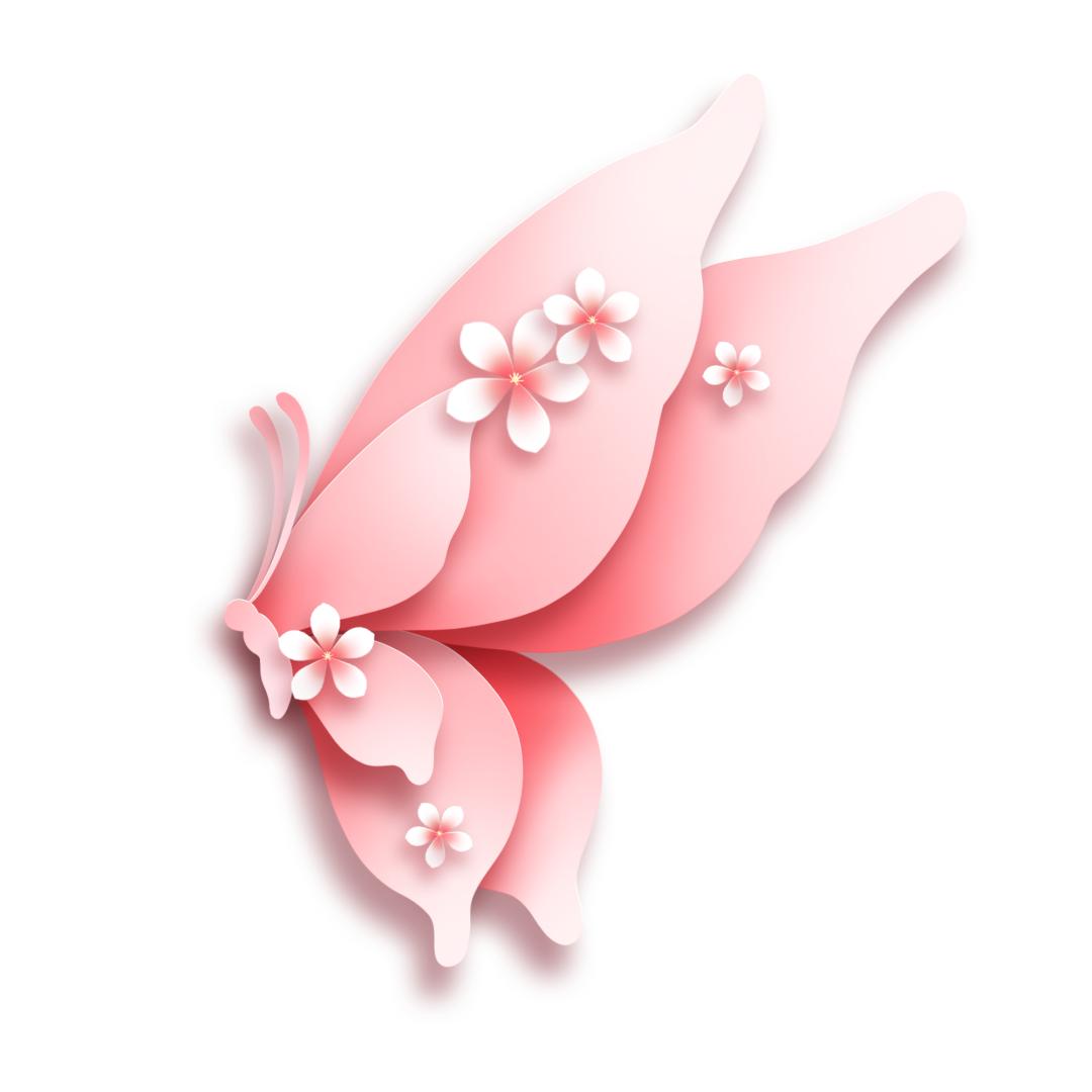 健身操下载_山西省妇女广场舞比赛_2025年全国妇女广场舞大赛山西站