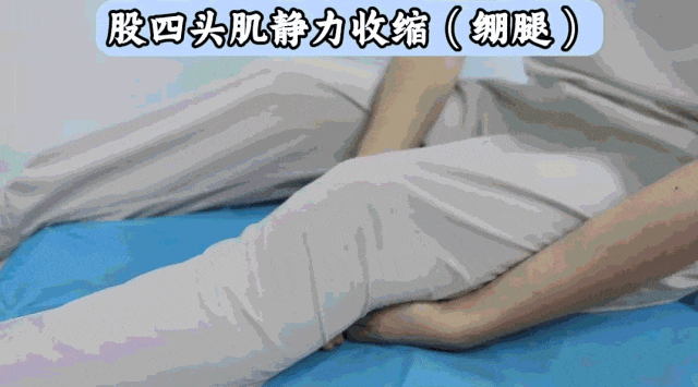 股四头肌锻炼方法_股四头肌训练椅_跑步膝盖酸痛怎么办