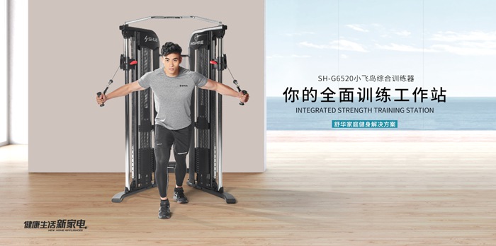 开yun体育app入口登录 综合拉绳训练器SH-G6520（小飞鸟）