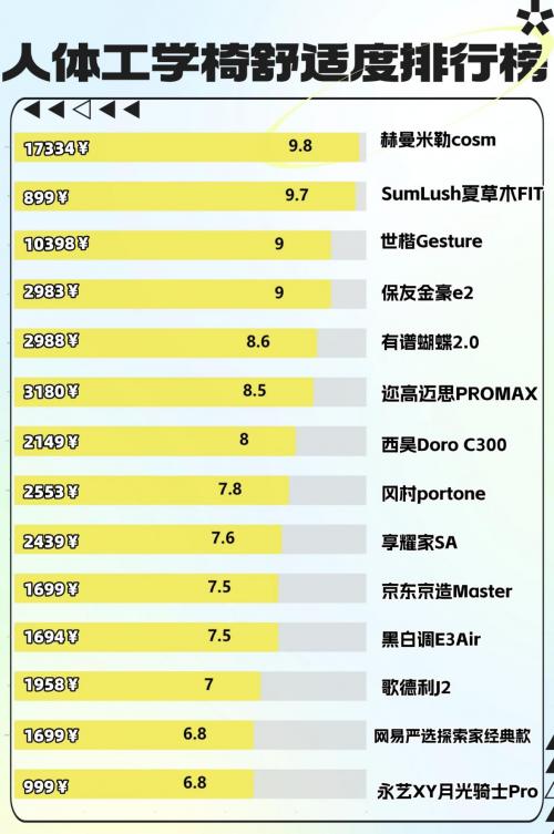人体工学椅品牌排行榜_人体工学椅性价比排行_髋关节训练椅