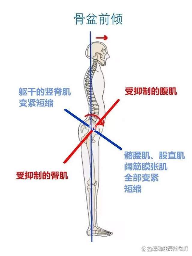 股四头肌训练椅使用方法_股四头肌训练椅_股四头肌训练椅子