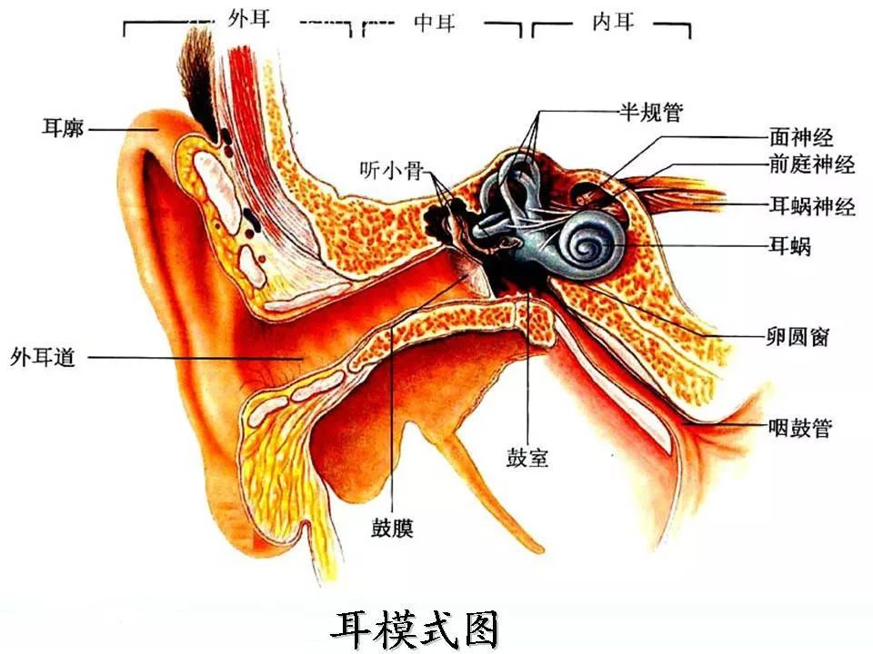 开yun体育官网入口登录体育 感统训练有“神器”！这四种平价常见的感统训练好物，最适合在家用
