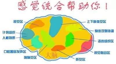 椅子练腿_感统训练坐独角椅_感统训练单腿椅