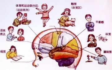 感统训练单腿椅_椅子练腿_感统训练坐独角椅