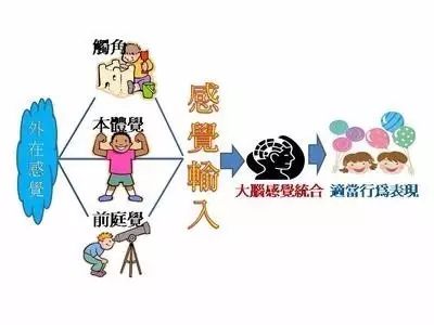 椅子练腿_感统训练单腿椅_感统训练坐独角椅