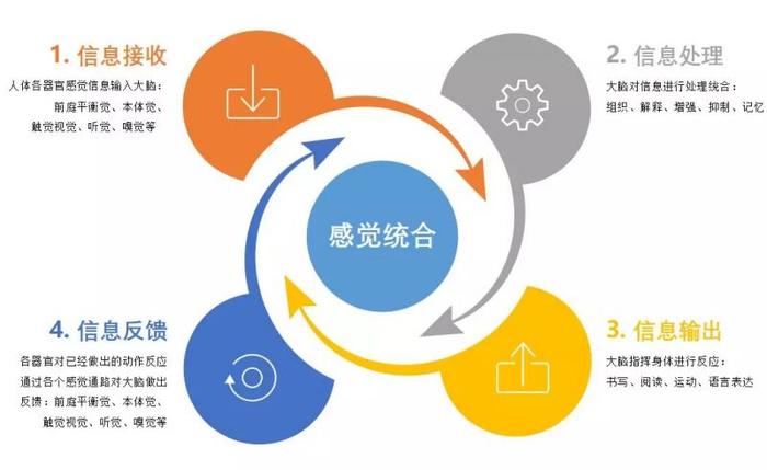 椅子练腿_感统训练单腿椅_感统课独脚凳的目的