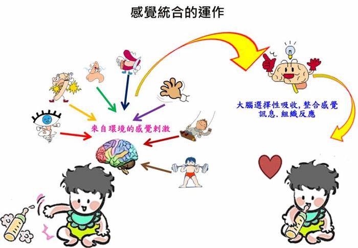 感统训练单腿椅_椅子练腿_感统课独脚凳的目的