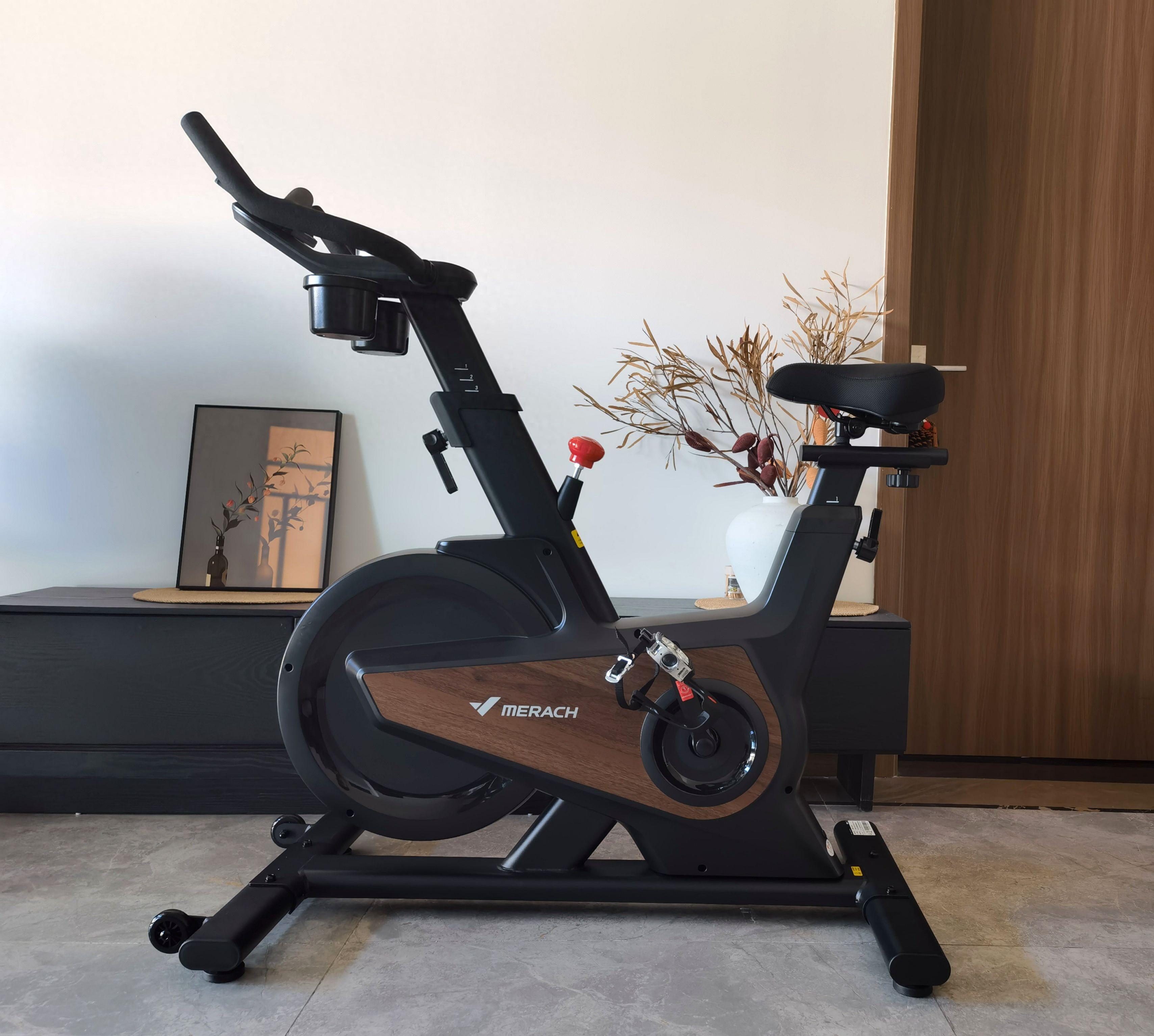 飞轮重量与磁控系统_动感单车选购指南_家用跑步机什么牌子的好