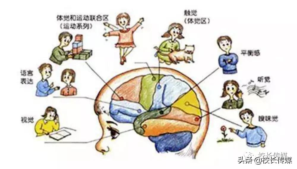 感统训练单脚站立_椅子练腿_感统训练单腿椅