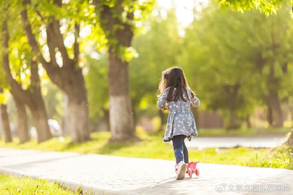 感统课独脚凳的目的_感统训练单腿椅_椅子体能训练