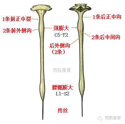 髋关节训练器的适应症_髋关节训练椅_髋关节训练椅的用途