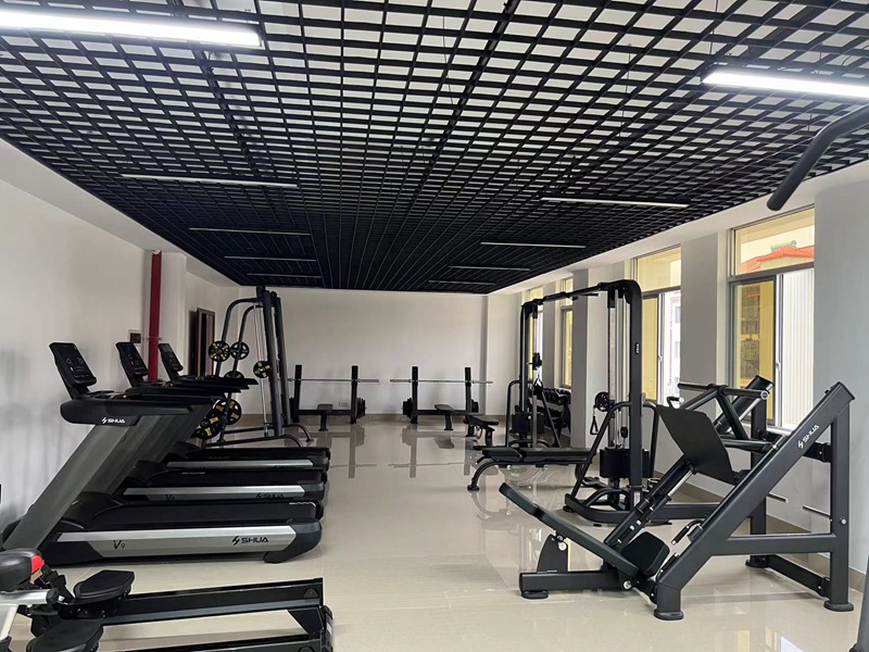 史密斯机综合训练器哪个牌子好_综合训练器 史密斯机_史密斯综合训练器优缺点
