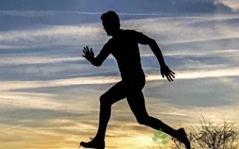 妖精漫画免费登录入口界面下拉式 最后，跑步机的选择建议