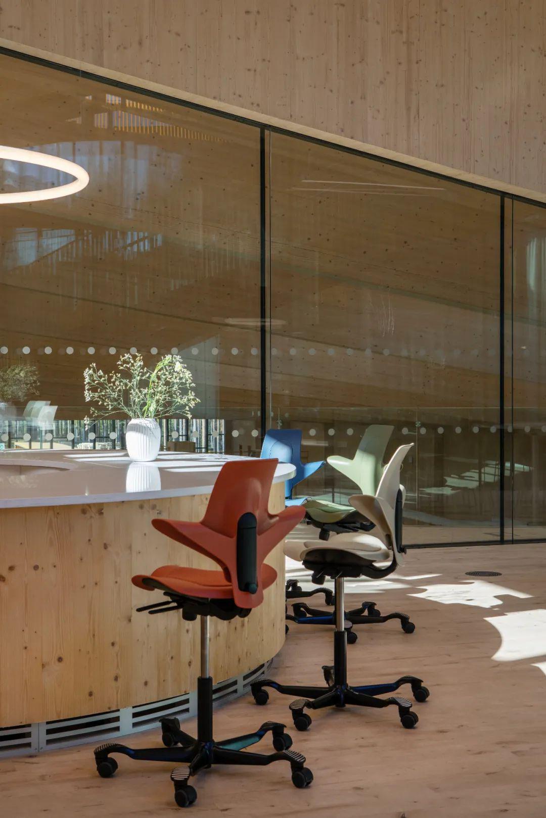 HÅG Capisco Puls 骑马椅_挪威进口人体工学椅_髋关节训练椅