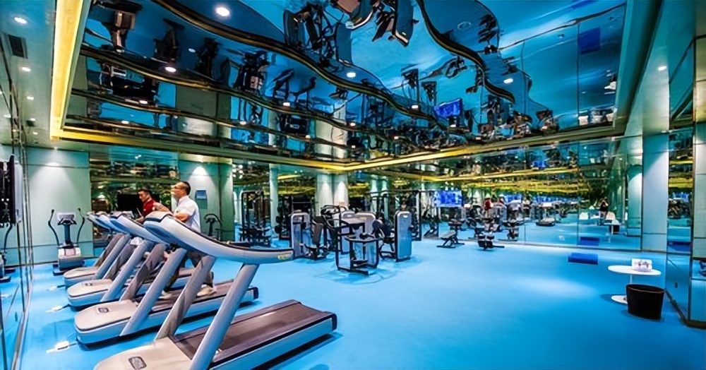 小飞鸟训练器选购要点_小飞鸟训练器滑轮钢丝组_综合训练器 胸肌