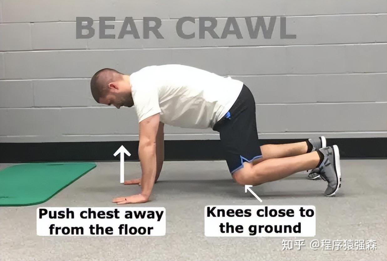 腹肌训练与核心训练_力量综合训练器_核心与腹肌的区别