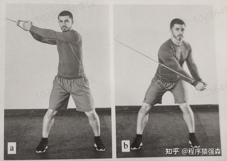 核心与腹肌的区别_力量综合训练器_腹肌训练与核心训练